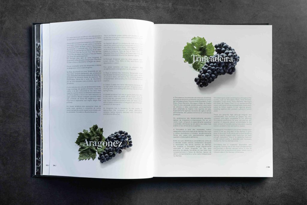 Dupla página do livro Adegas do Alentejo 2 com tipos de uva Aragonez e Trincadeira