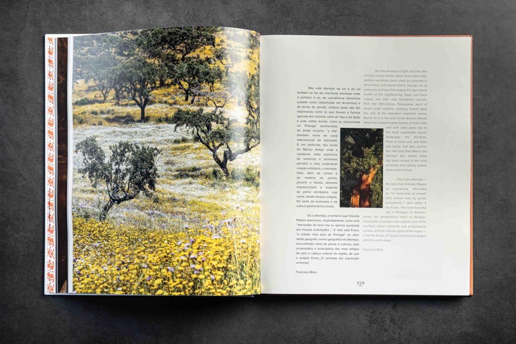 Página 29 do livro Sabores do Tacho Alentejo com paisagem rural e texto editorial