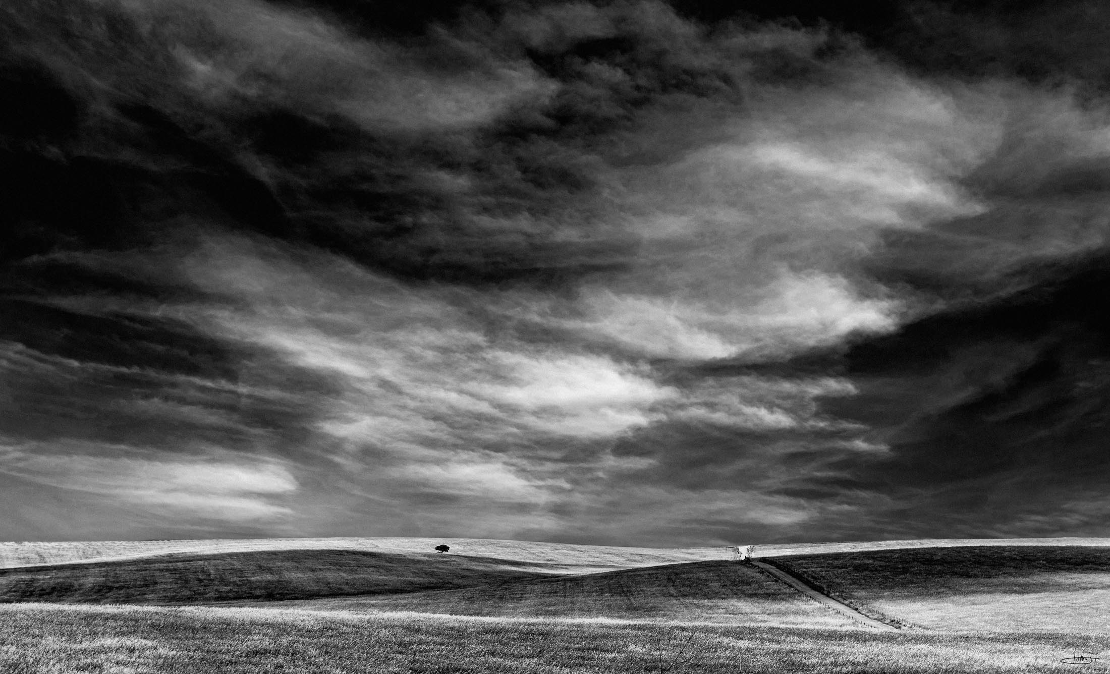 Caminho rural atravessa campos ondulados junto a uma árvore solitária, sob um céu dramático.
