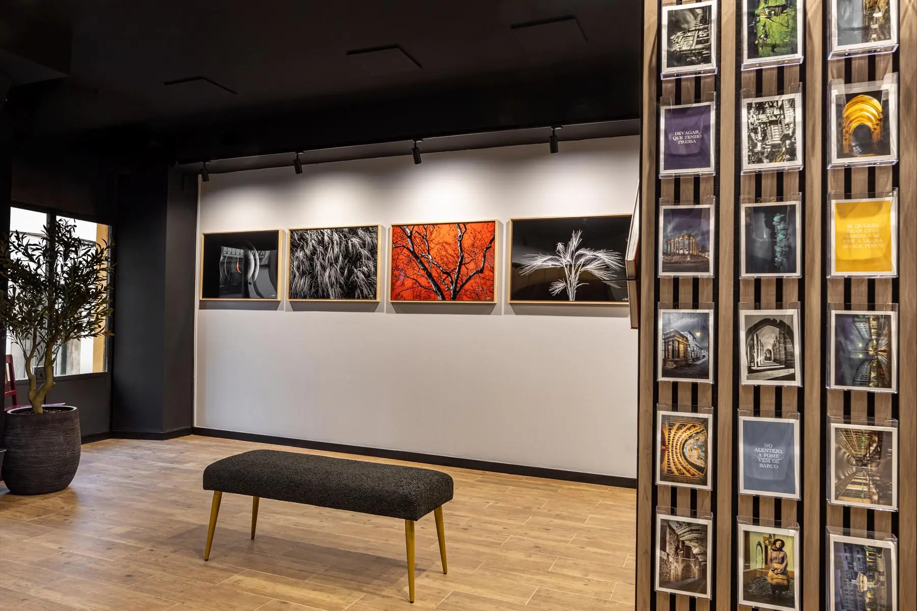 Fotografias emolduradas e postais de autor apresentados no interior da galeria.