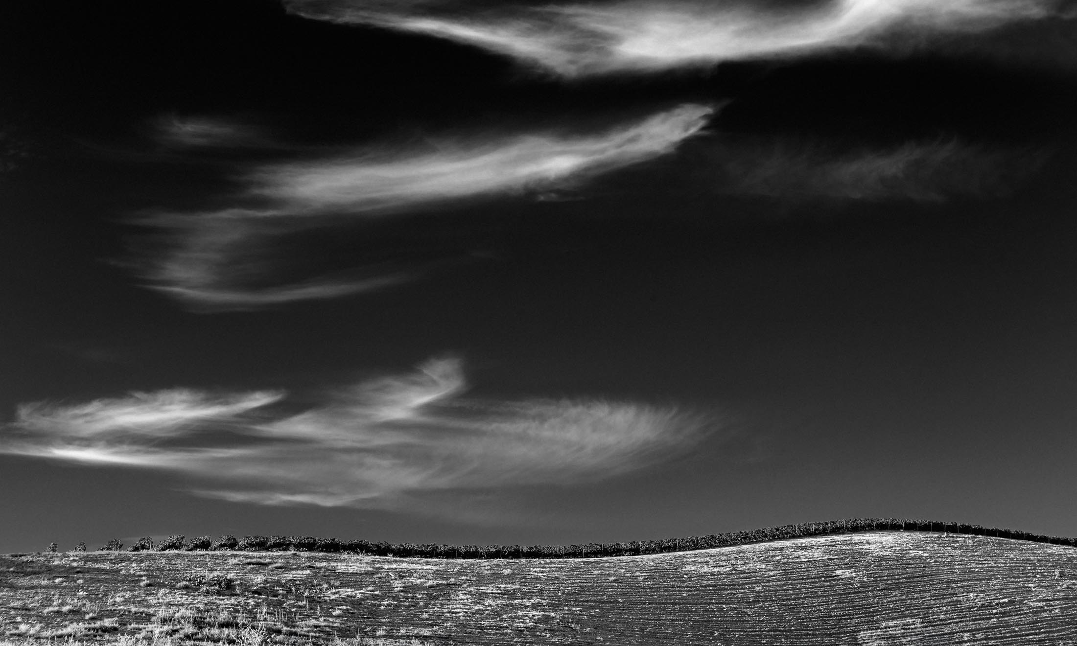 Campo ondulado sob um céu amplo com nuvens alongadas, fotografado a preto e branco.