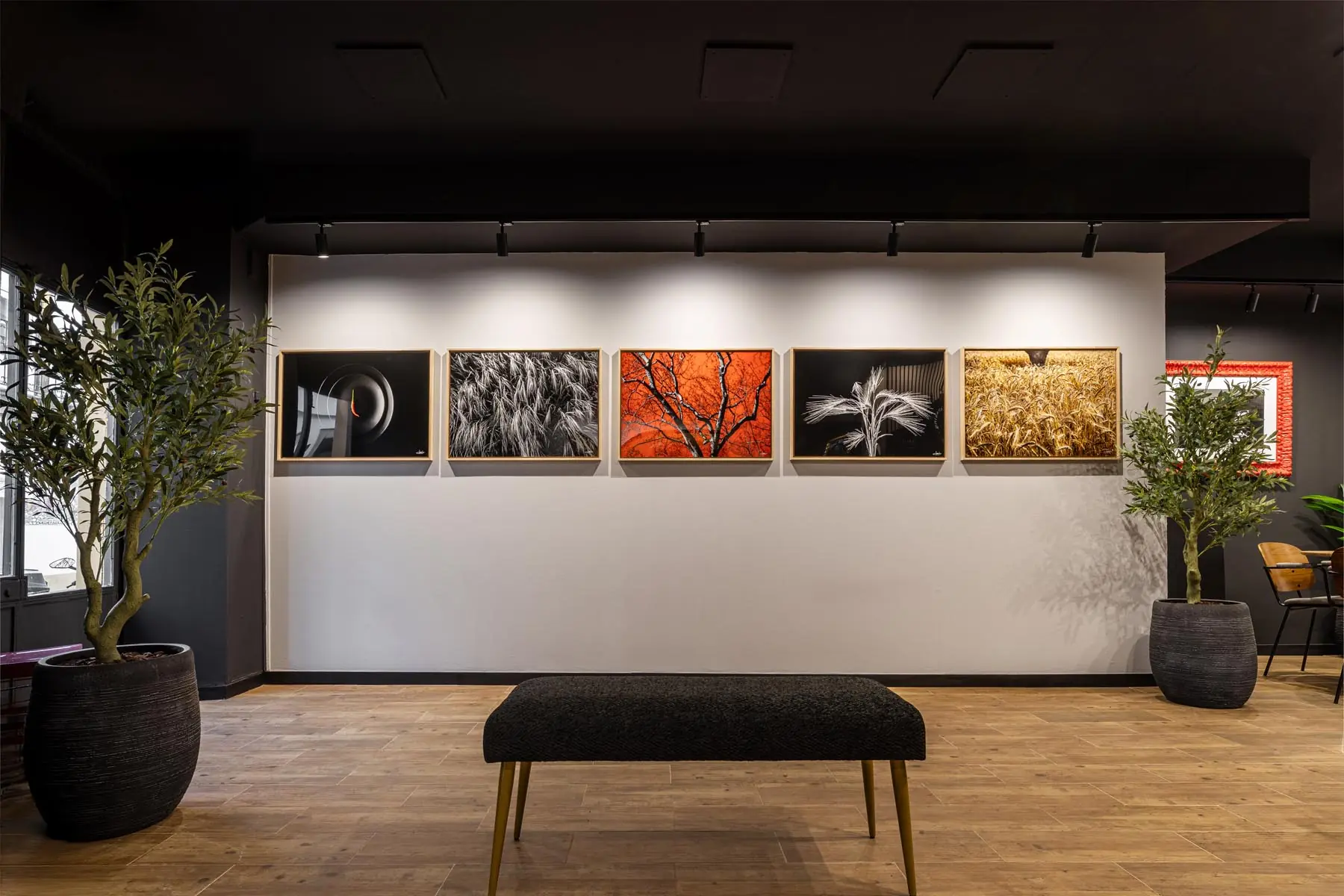 Duas poltronas diante de fotografias de autor no espaço da Galeria Visual Factory.